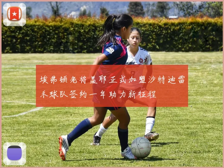 埃弗顿老将盖耶正式加盟沙特迪雷禾球队签约一年助力新征程